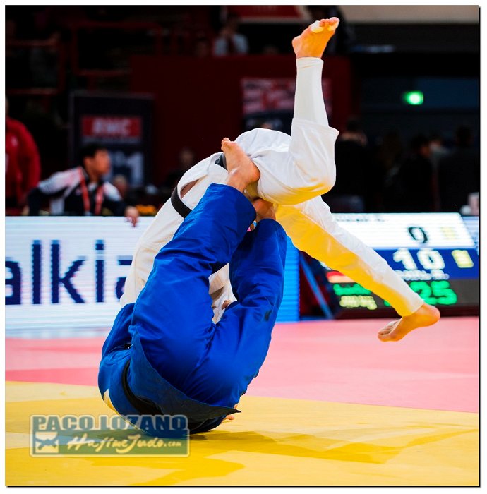 Paris 2014 by P.Lozano cat -90 kg_PLM4279